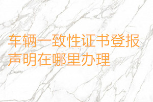 車輛一致性證書登報(bào)聲明在哪里辦理